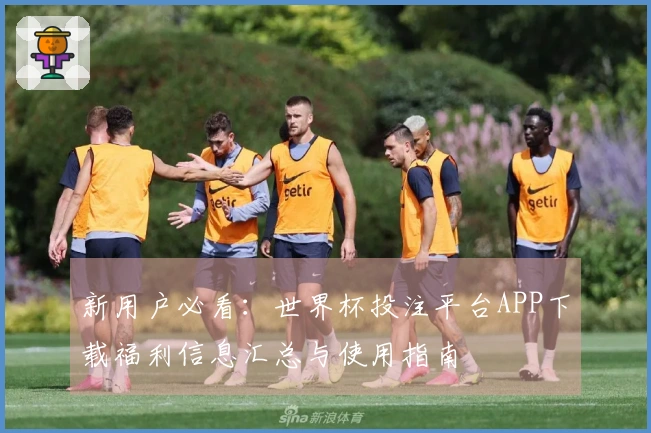 新用户必看：世界杯投注平台APP下载福利信息汇总与使用指南