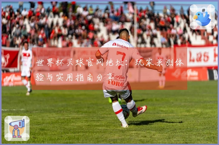 世界杯买球官网地址：玩家亲测体验与实用指南分享