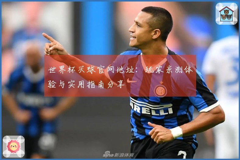 世界杯买球官网地址：玩家亲测体验与实用指南分享