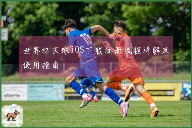 世界杯买球iOS下载注册流程详解及使用指南