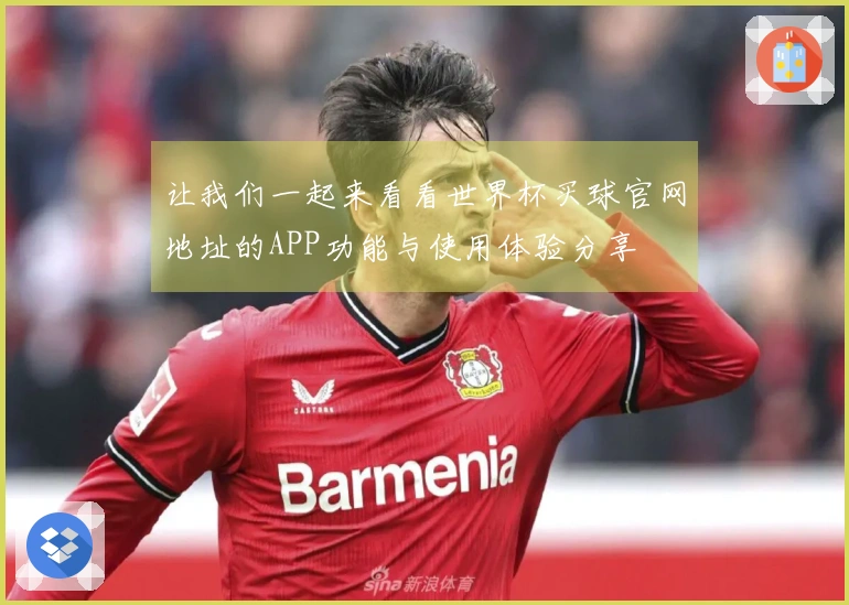 让我们一起来看看世界杯买球官网地址的APP功能与使用体验分享