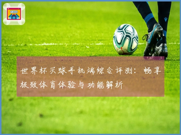 世界杯买球手机端综合评测：畅享极致体育体验与功能解析