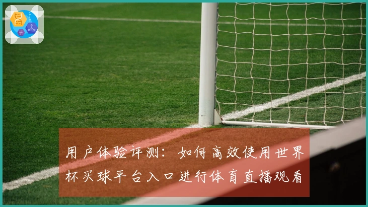 用户体验评测：如何高效使用世界杯买球平台入口进行体育直播观看