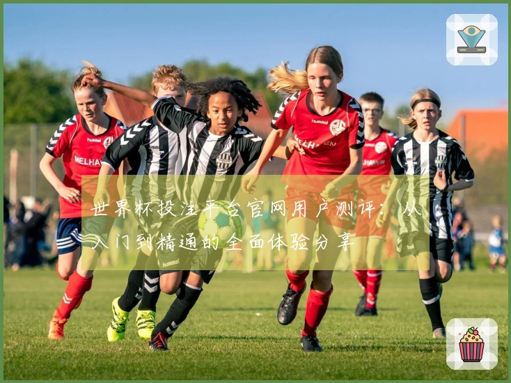 世界杯投注平台官网用户测评：从入门到精通的全面体验分享