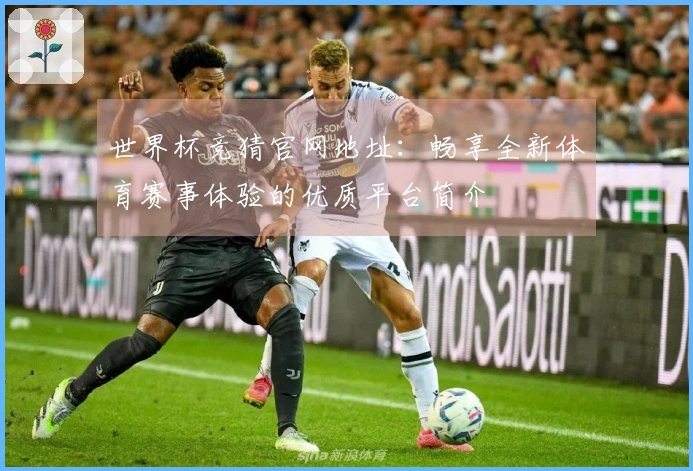世界杯竞猜官网地址：畅享全新体育赛事体验的优质平台简介