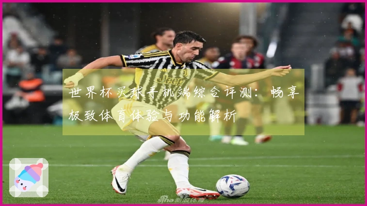 世界杯买球手机端综合评测：畅享极致体育体验与功能解析