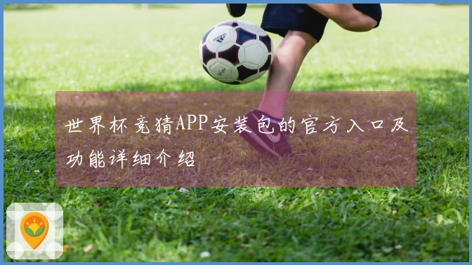 世界杯竞猜APP安装包的官方入口及功能详细介绍