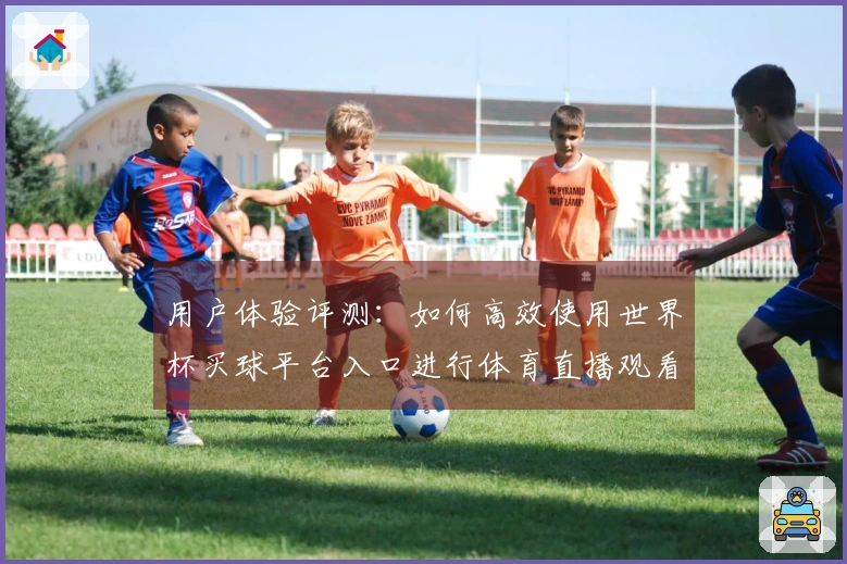 用户体验评测：如何高效使用世界杯买球平台入口进行体育直播观看